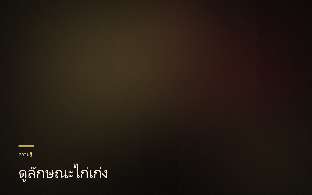 ซุ้มไก่เหลืองหางขาว สายพระนเรศวร