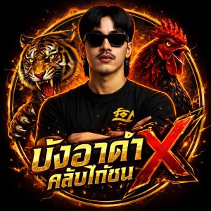 โปรแกรมไก่วันนี้ วันไหน